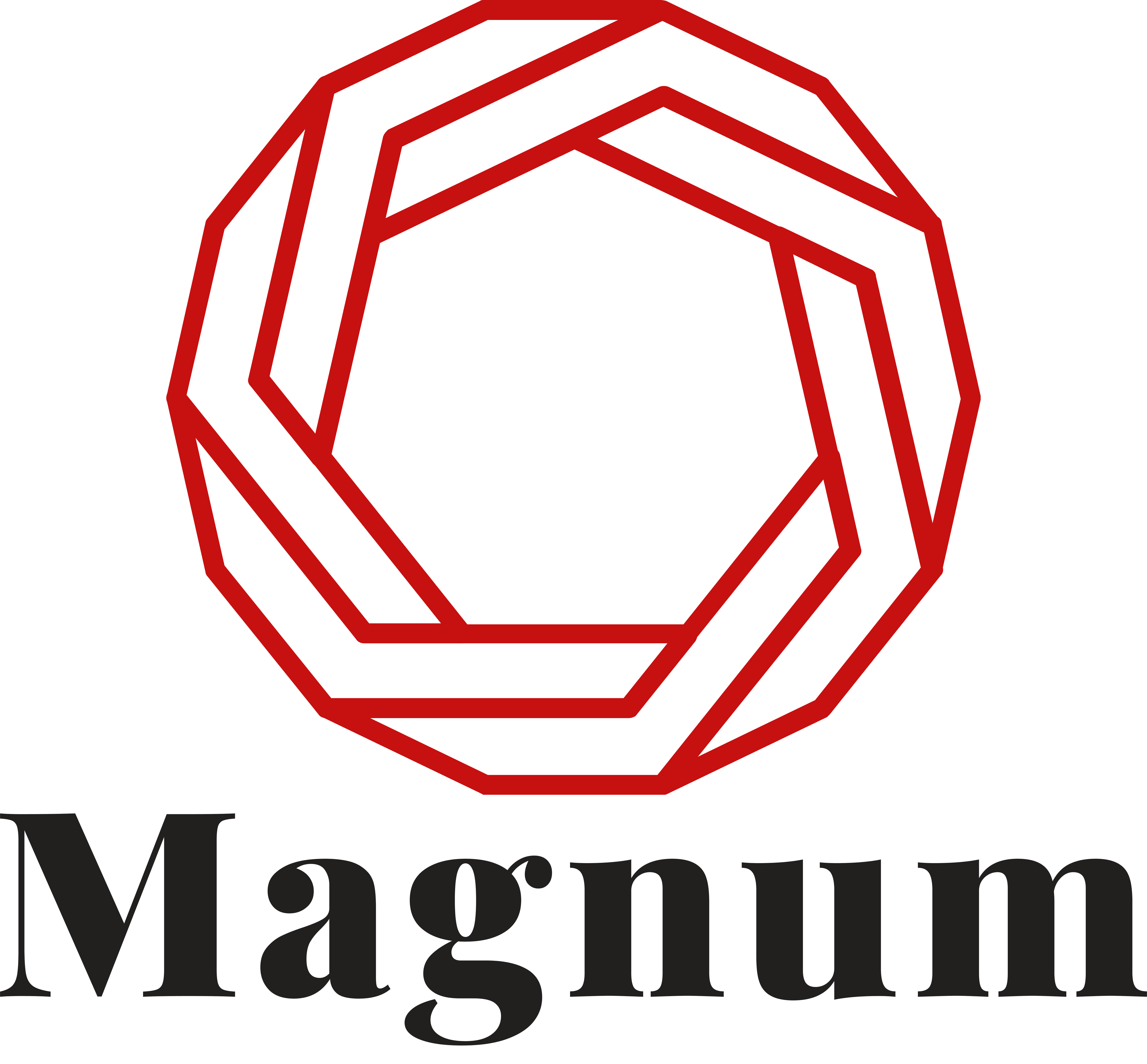 Magnum Services